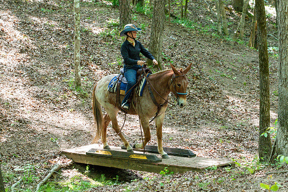 HodgesAL2023-1866