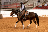 Mustang-1278