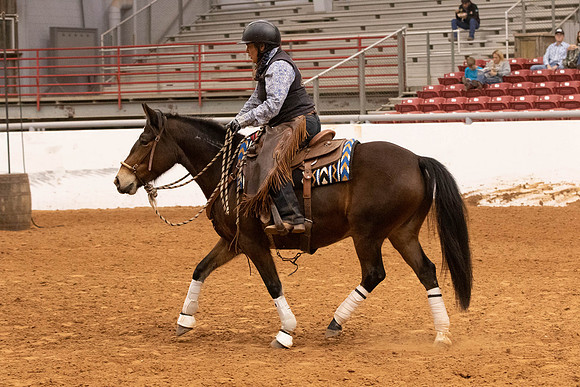 Mustang-1278