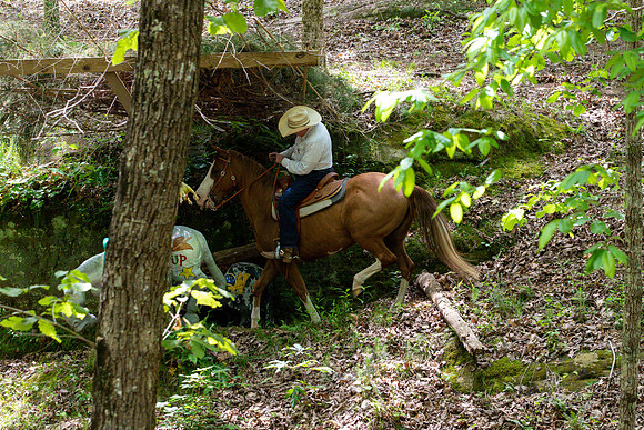 HodgesAL2023-1510