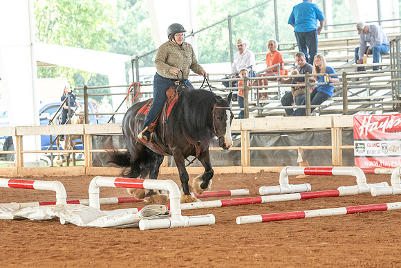 Gainesville-4725
