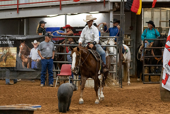 Mustang&MuleR1-239