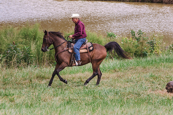 Jim-1400