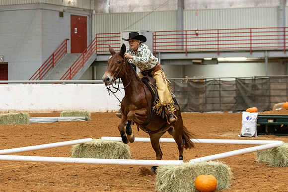 Mule&FuturityR2-130