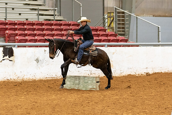 MuleFinals-74