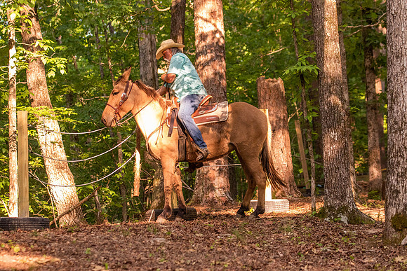 HodgesRace-7386