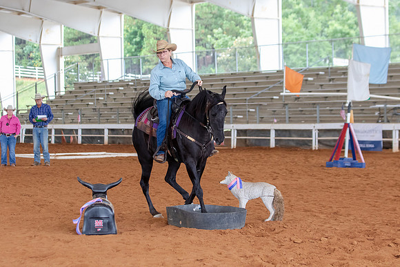 EXCARegionals-2212