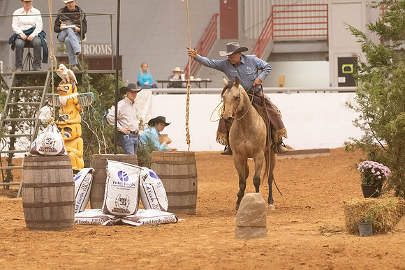 Futurity-2-38