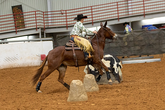 Mule&FuturityR2-136
