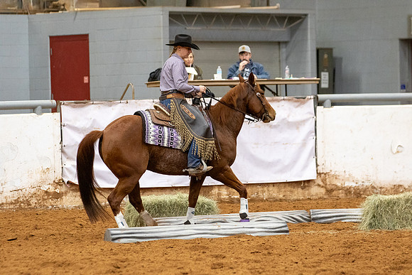 Mule&FuturityR2-502