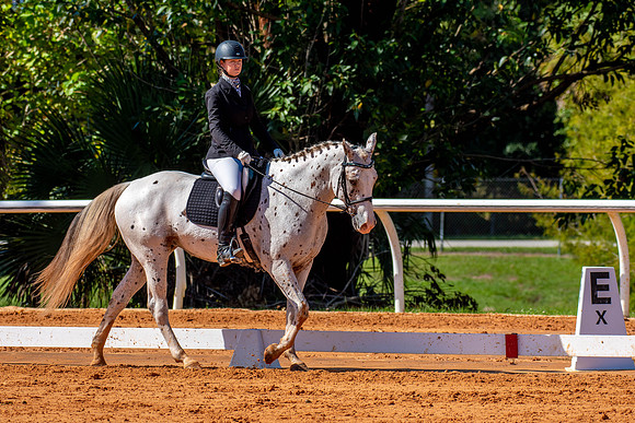HorseShow-0612