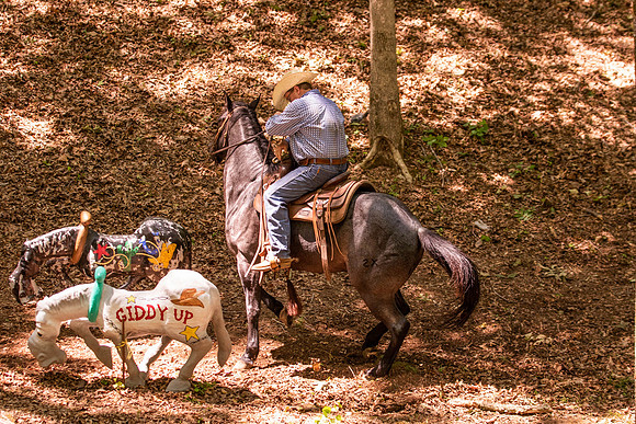 HodgesRace-5936