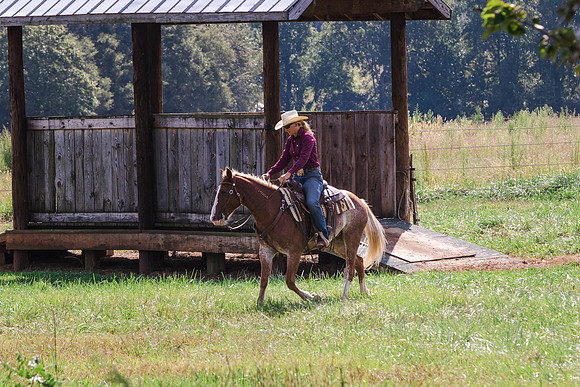 Nicola Bolt-0582