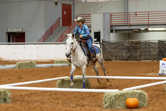 Mule&FuturityR2-153