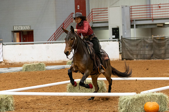 Mule&FuturityR2-107