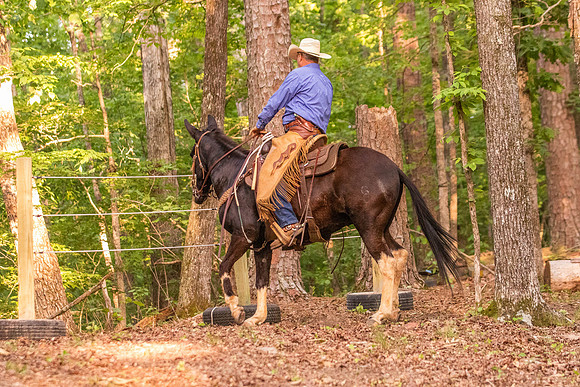 HodgesRace-7602