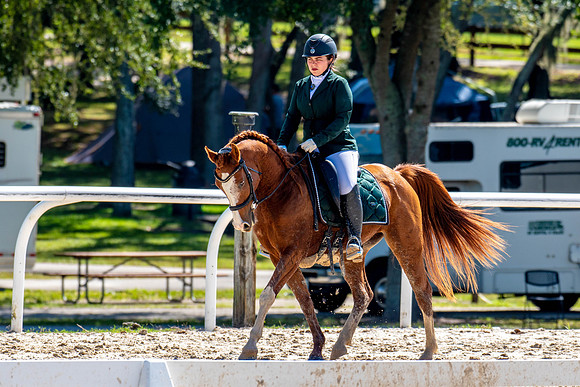 HorseShow-0651