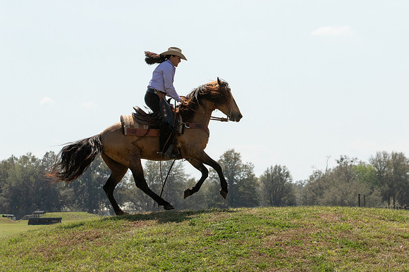 EXCAOcala-8302