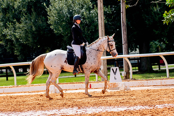 HorseShow-0737