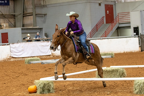 Mule&FuturityR2-233