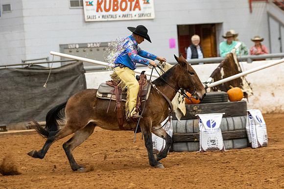 Mule&FuturityR2-186