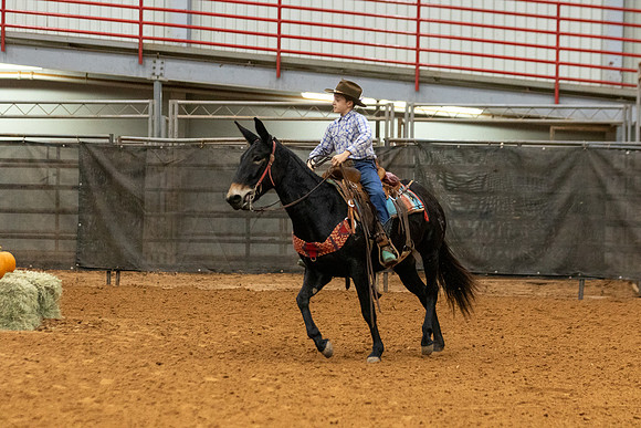 Mule&FuturityR2-58