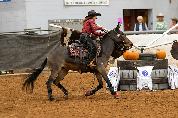 Mule&FuturityR2-109