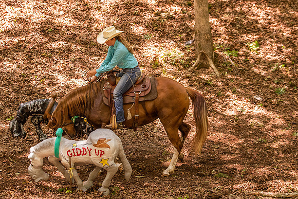 HodgesRace-6129