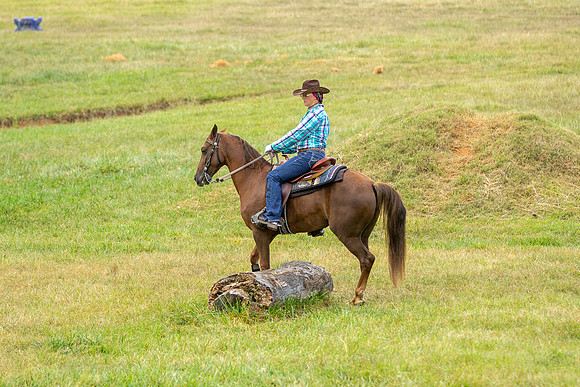 IMG_7449