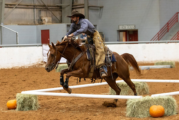 Mule&FuturityR2-403