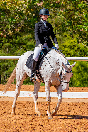 HorseShow-0614