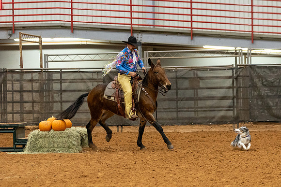 Mule&FuturityR2-180