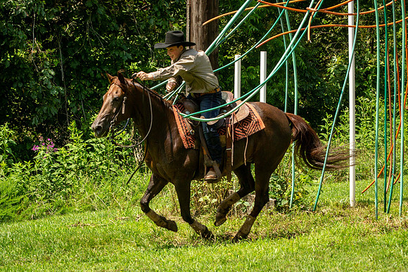 IMG_4876