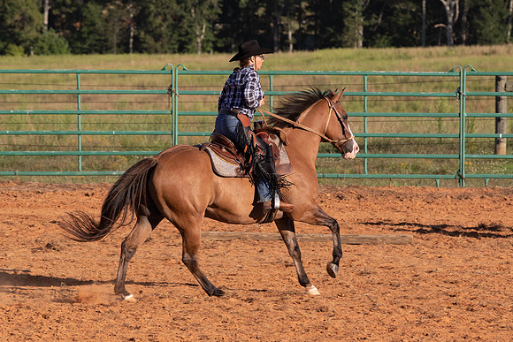 Betsy-2968