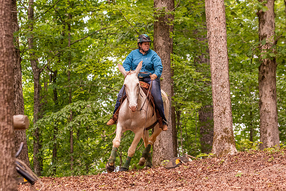 HodgesRace-6356