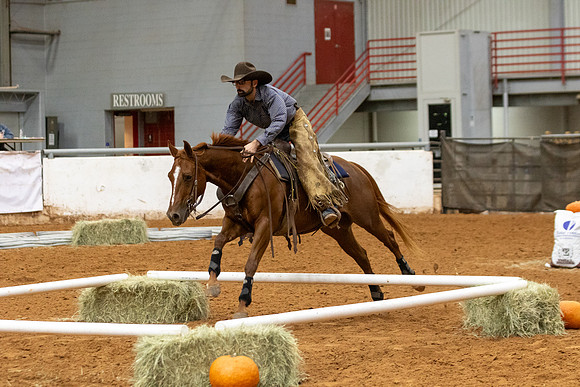 Mule&FuturityR2-402