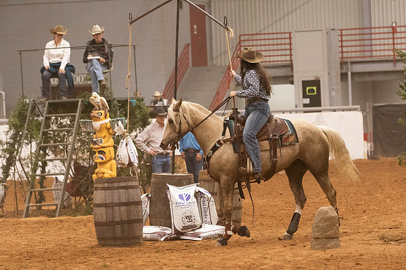 Futurity-1981