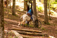 HodgesRace-5239