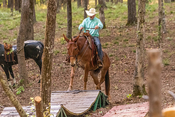 HodgesRace-7491
