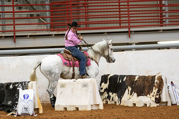 Mustang&MuleR1-327