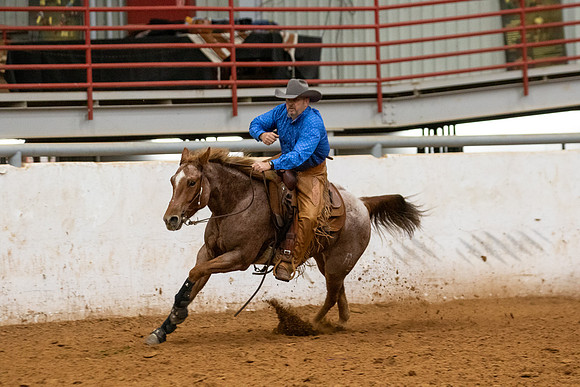 Mule&FuturityR2-453