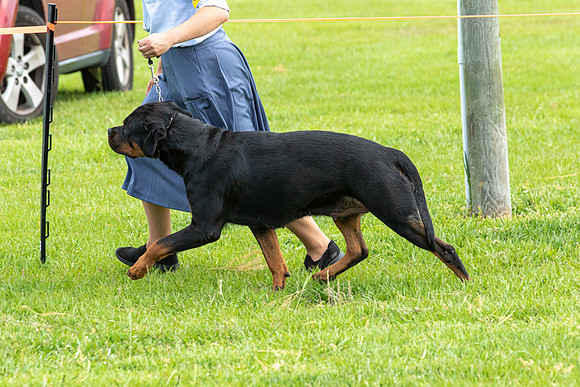 IABCAShow-3368