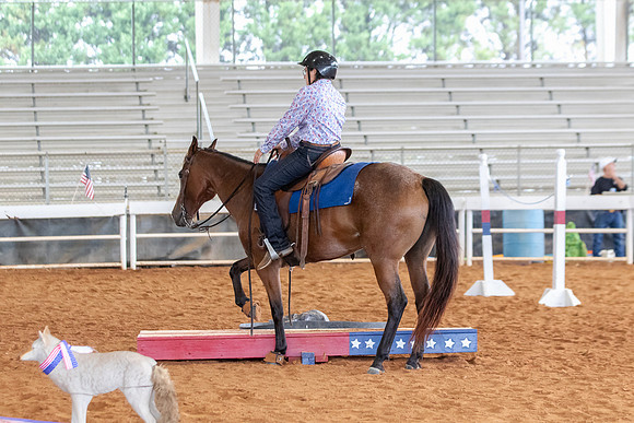 EXCARegionals-1559
