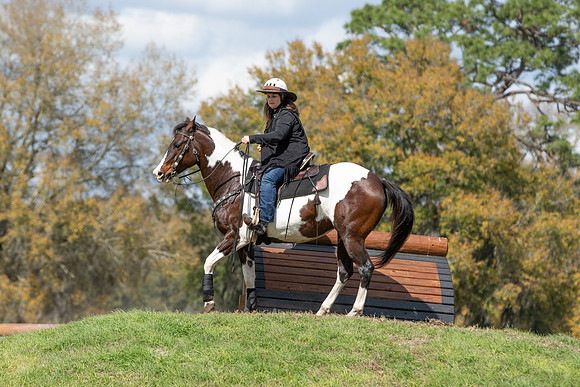 Donna-8147