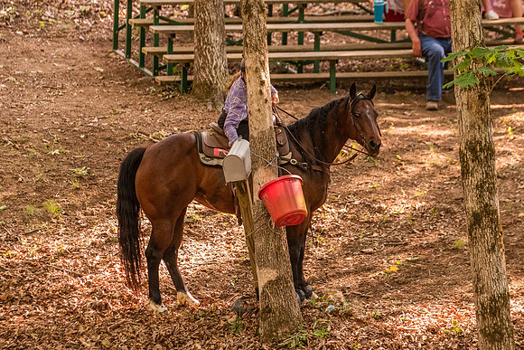 HodgesRace-7018