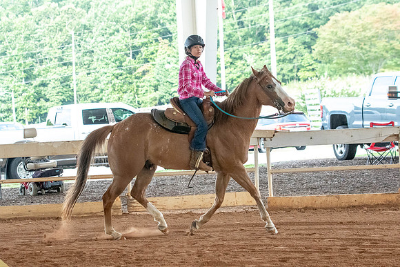 Gainesville-4551