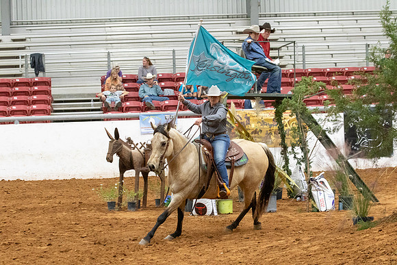 InternationalR1-5228