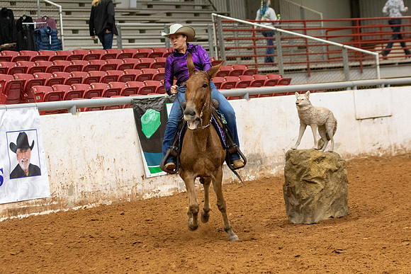 Mule&FuturityR2-222