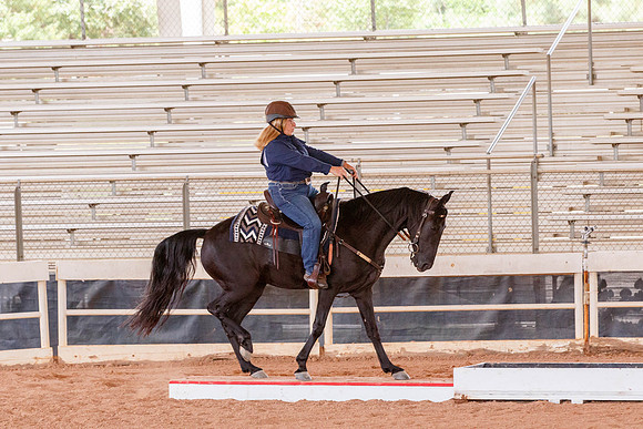 Terri-6050