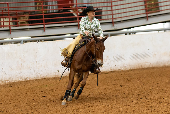 Mule&FuturityR2-138